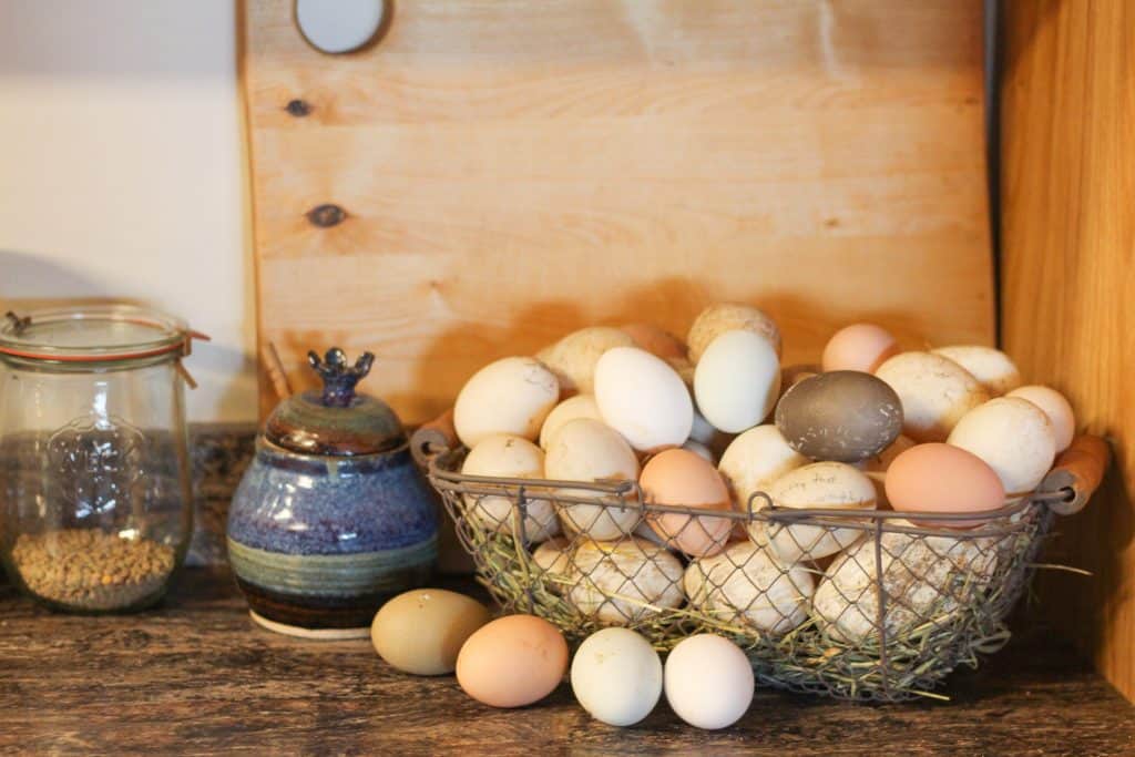 Basket of eggs