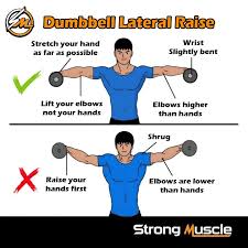 Top position for dumbbell lateral raise at shoulder height